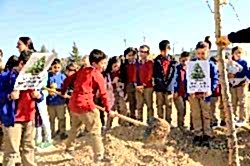 KARATAY’DA 10 BİN 400 METREKARELİK ALANDA FİDAN DİKİLDİ