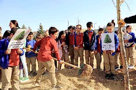 KARATAY’DA 10 BİN 400 METREKARELİK ALANDA FİDAN DİKİLDİ